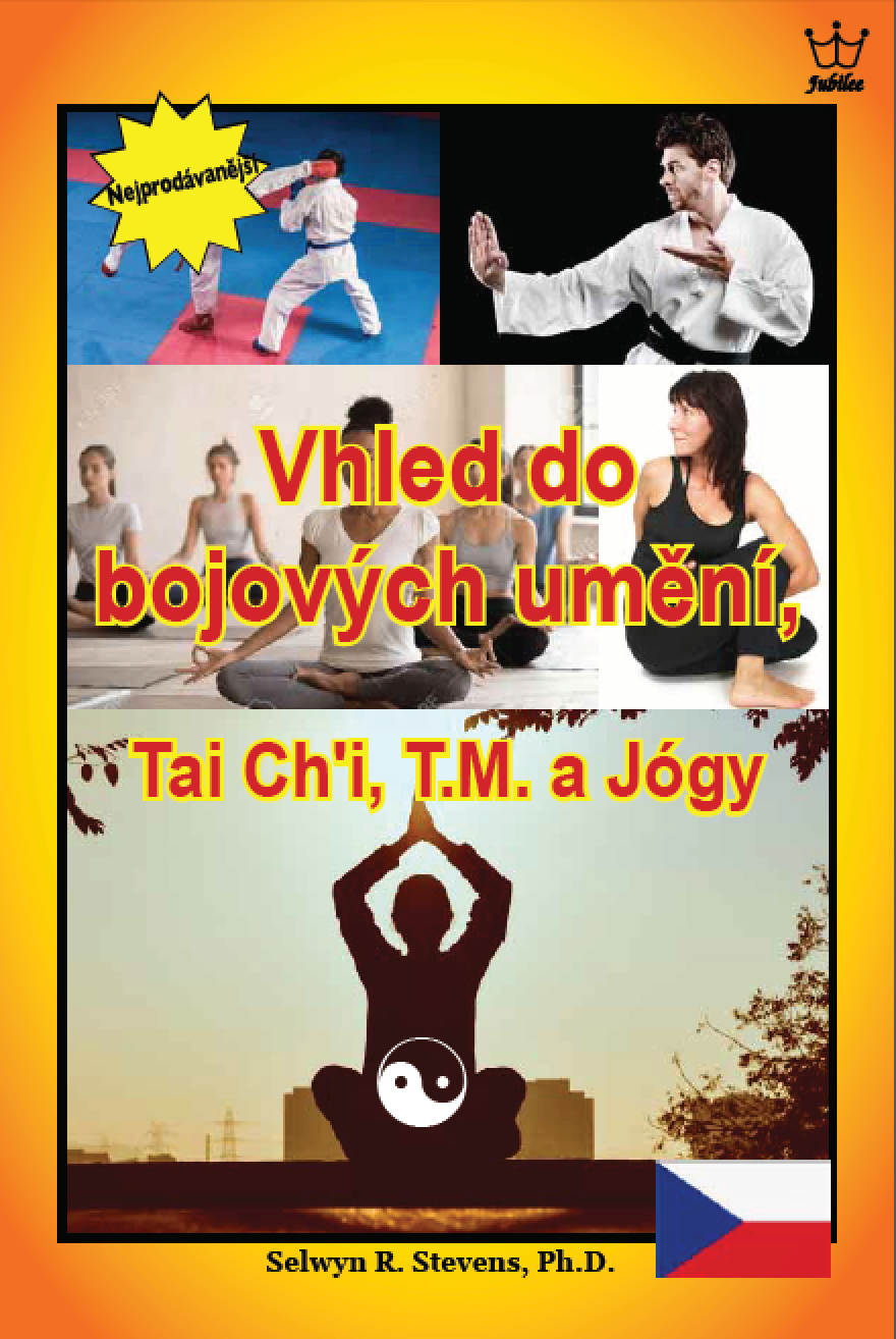Poznatky o bojových uměních, tai-či, TM a józe - eBook in Czech language