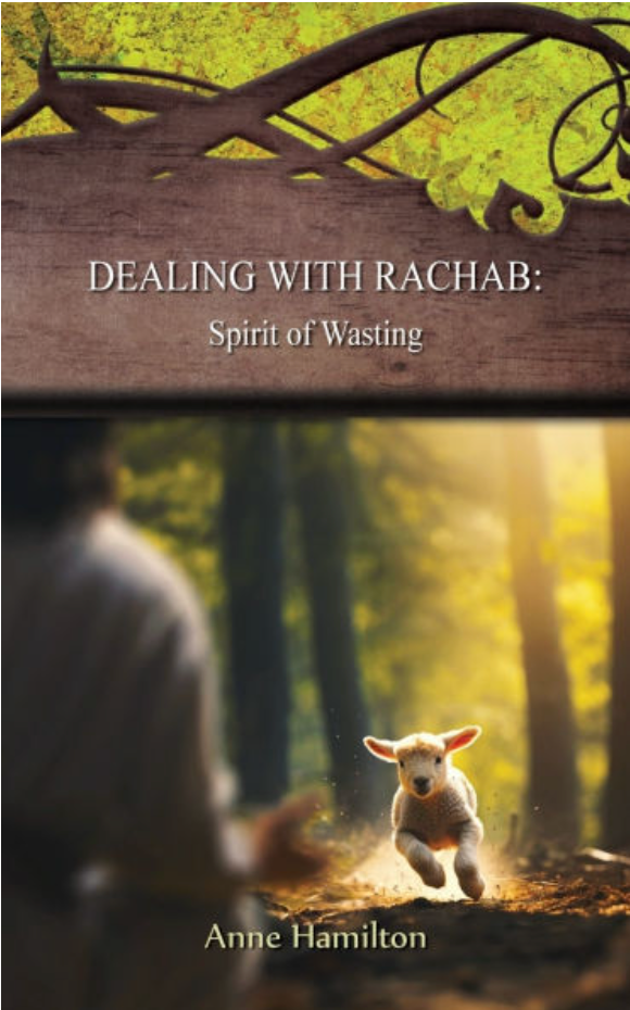 Dealing with Rachab: Spirit of Wasting: Strategies for the Threshold #11 by Anne Hamilton #BRSH
