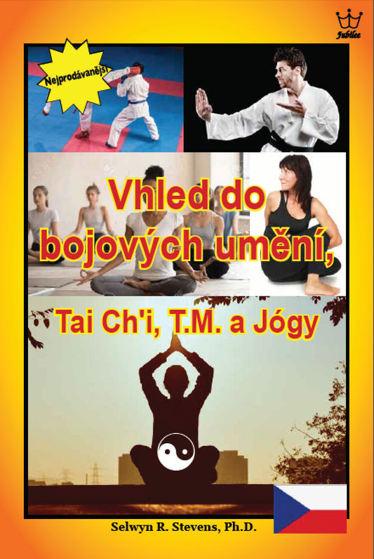 Poznatky o bojových uměních, tai-či, TM a józe - eBook in Czech language
