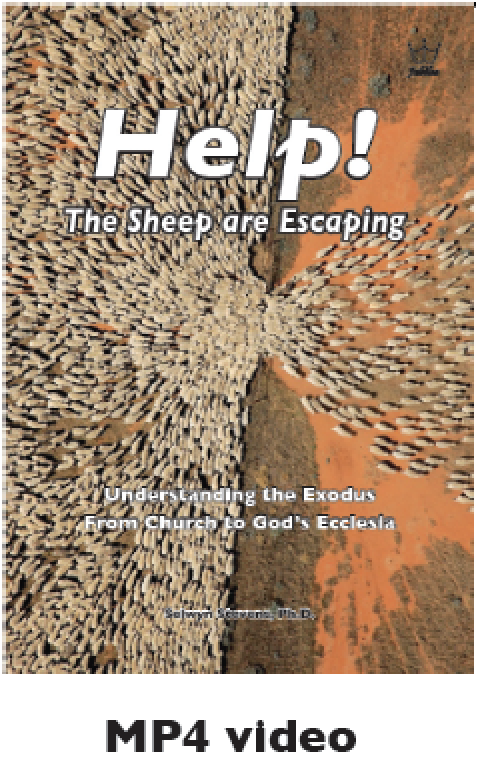 Help! The Sheep are Escaping MP4 Video downloadable