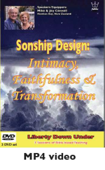 Sonship Design: Intimacy, Assignment & Transformation, MP4 Download session 3