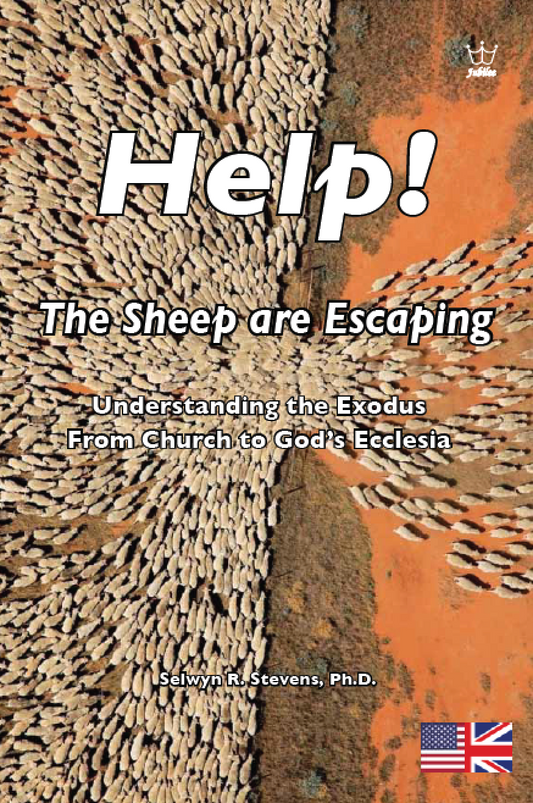 Help! The Sheep are Escaping (E-book)