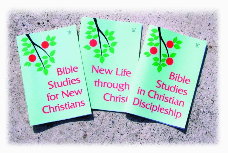 New Believer Interactive Bible Studies - Set of 3 #BSET